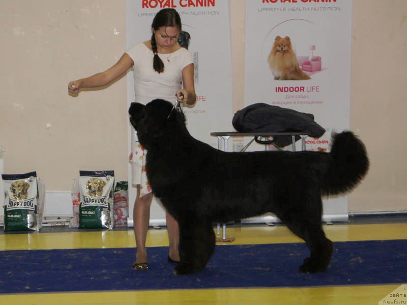 Фотография № 169671