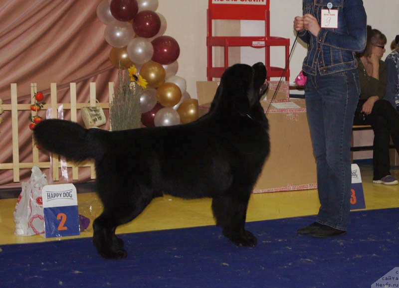 Фотография № 169674