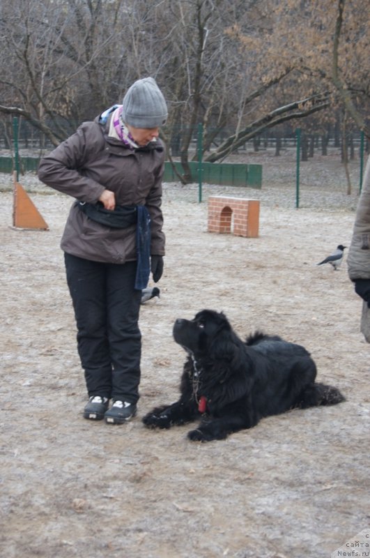 Фотография № 169688