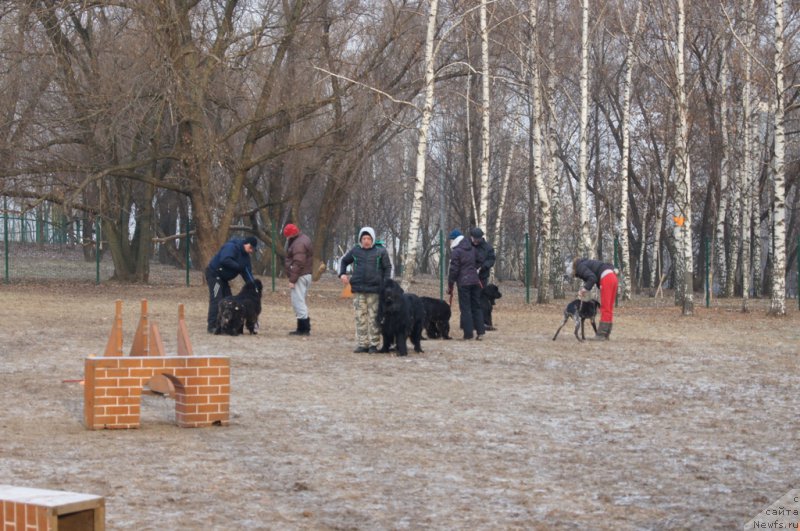 Фотография № 169694