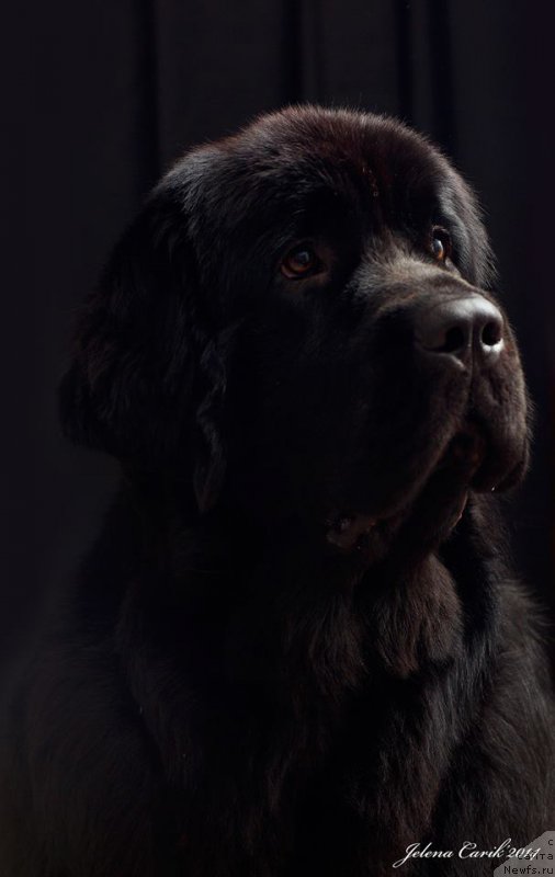 Фотография № 169698