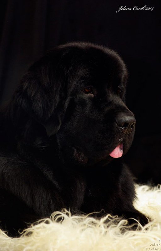 Фотография № 169704