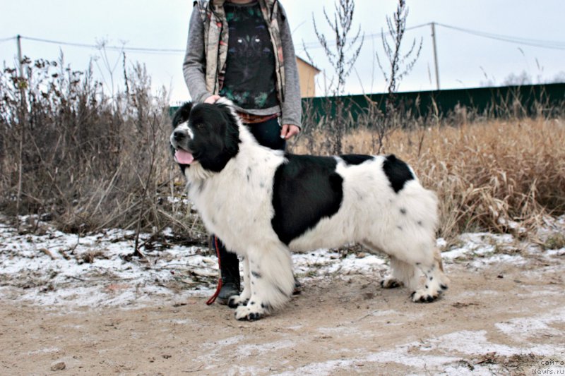 Фотография № 169727