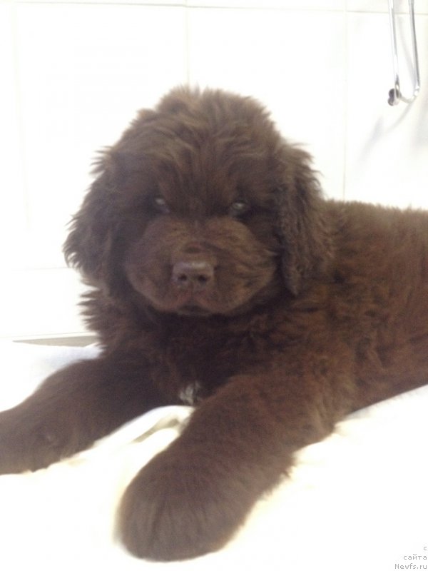 Фотография № 169809