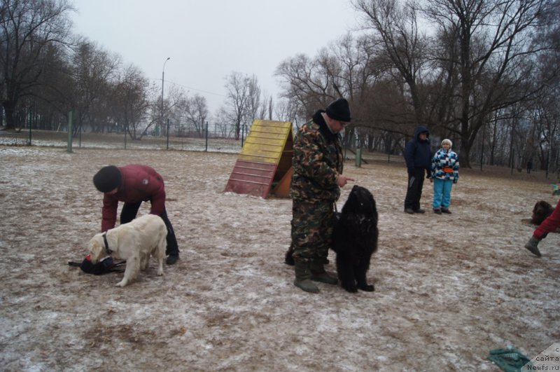 Фотография № 169813