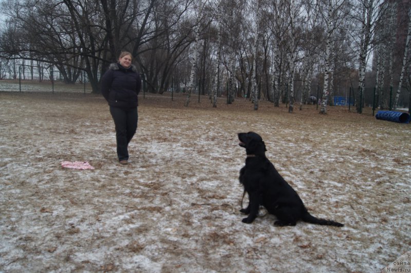 Фотография № 169814