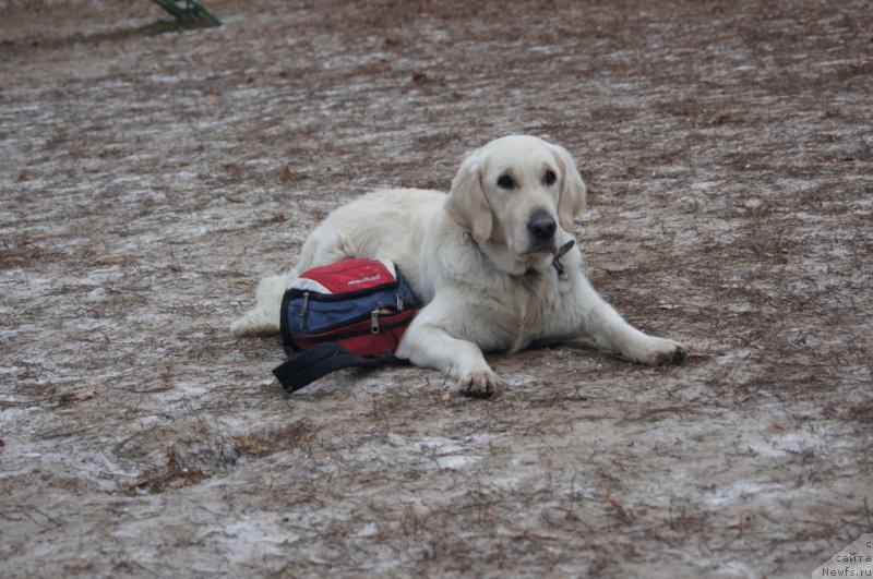 Фотография № 169825