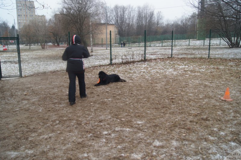 Фотография № 169828