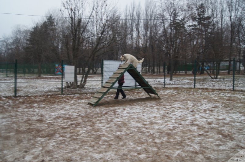 Фотография № 169831