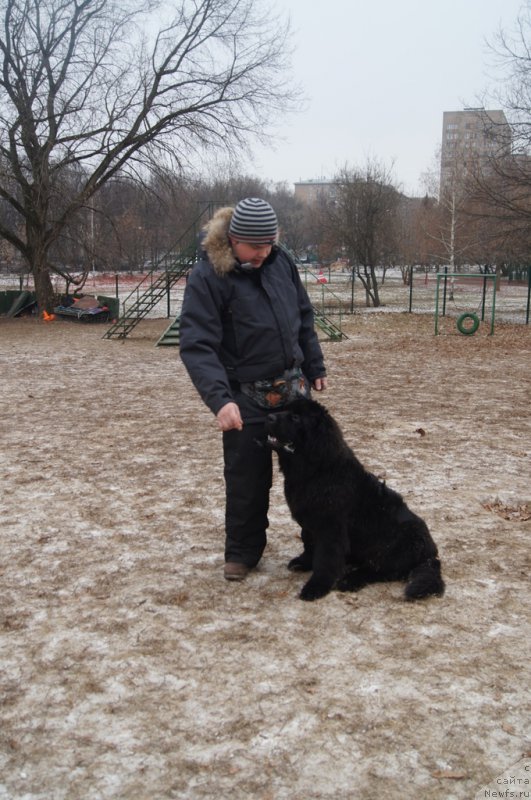 Фотография № 169834