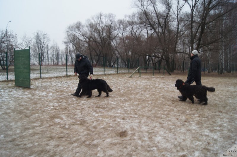 Фотография № 169837