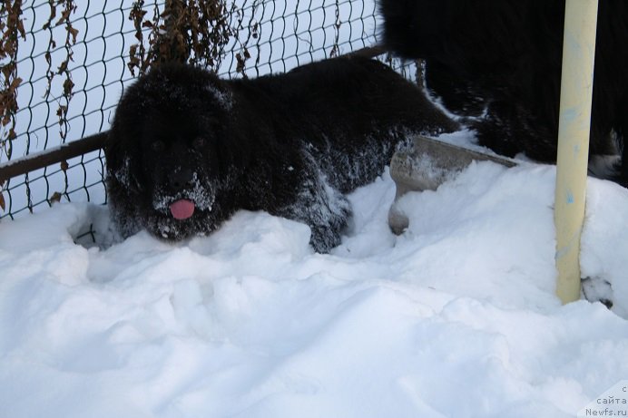 Фотография № 169861