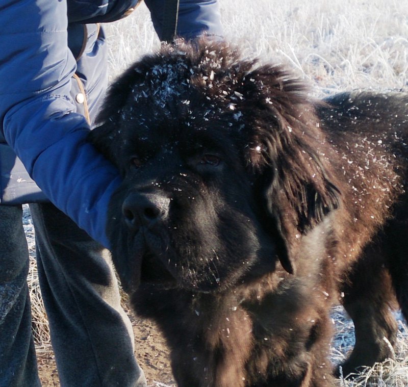 Фотография № 169893