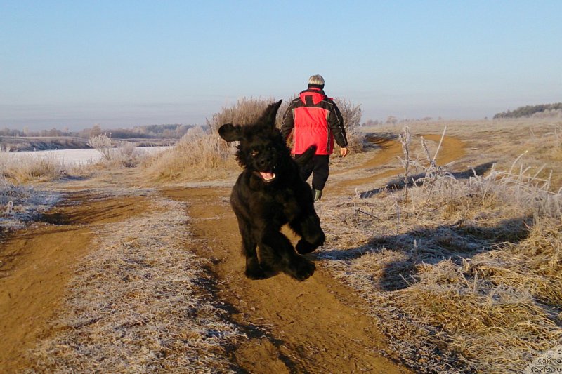 Фотография № 169895