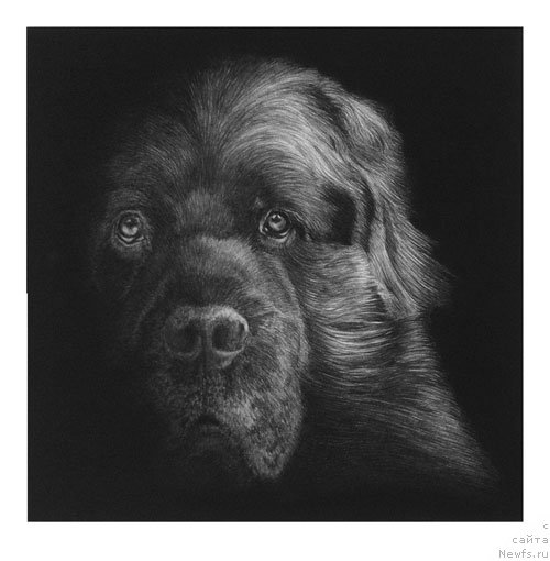 Фотография № 169902