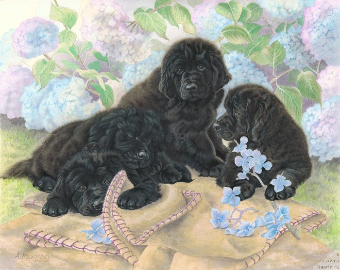 Фотография № 169904