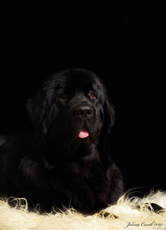 Фотография № 169923