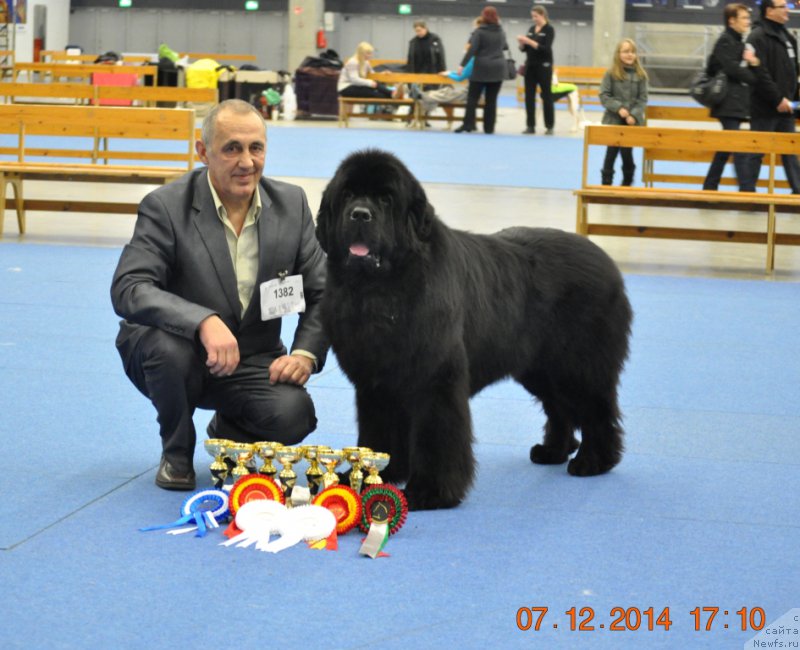 Фотография № 169936