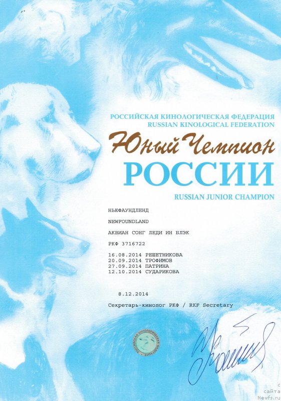 Фото: ньюфаундленд Akvian Song Ledi In Blyek (Аквиан Сонг Леди Ин Блэк)