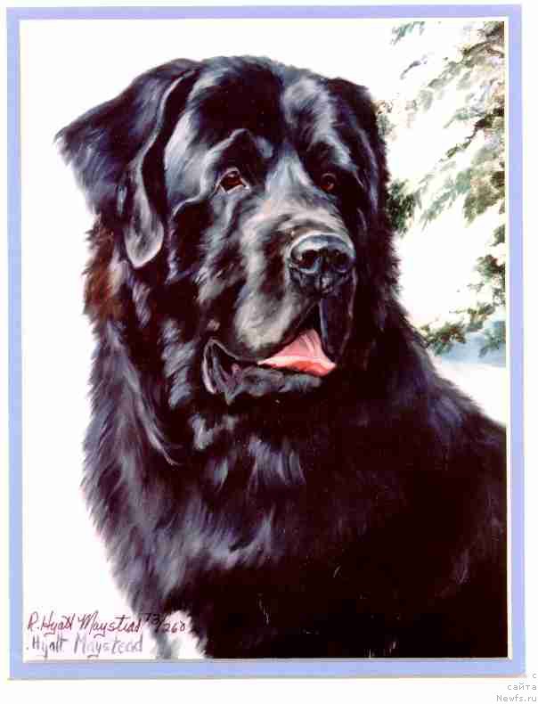 Фотография № 169965