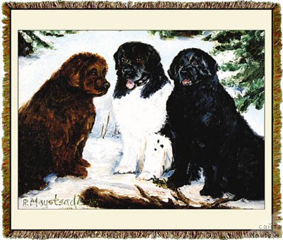 Фотография № 169966