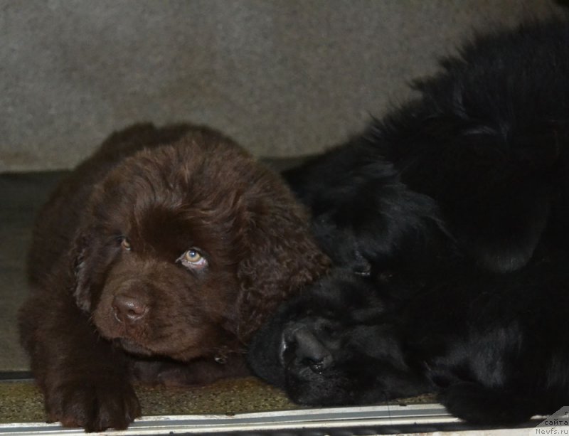 Фотография № 169974