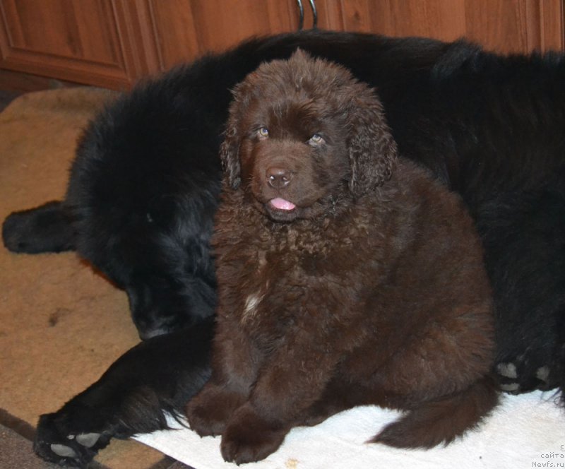 Фотография № 169975