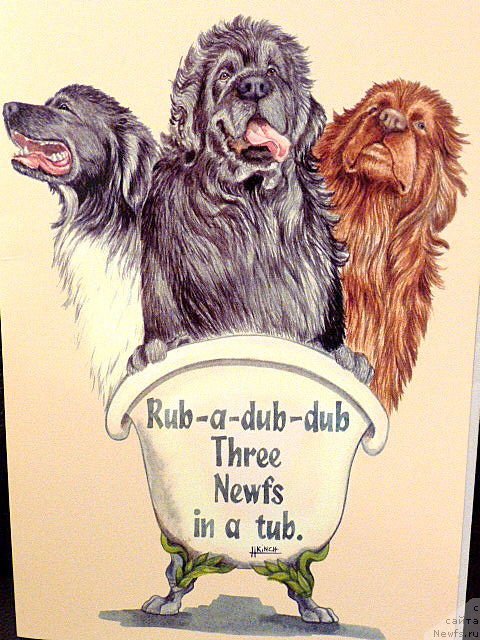 Фотография № 170079