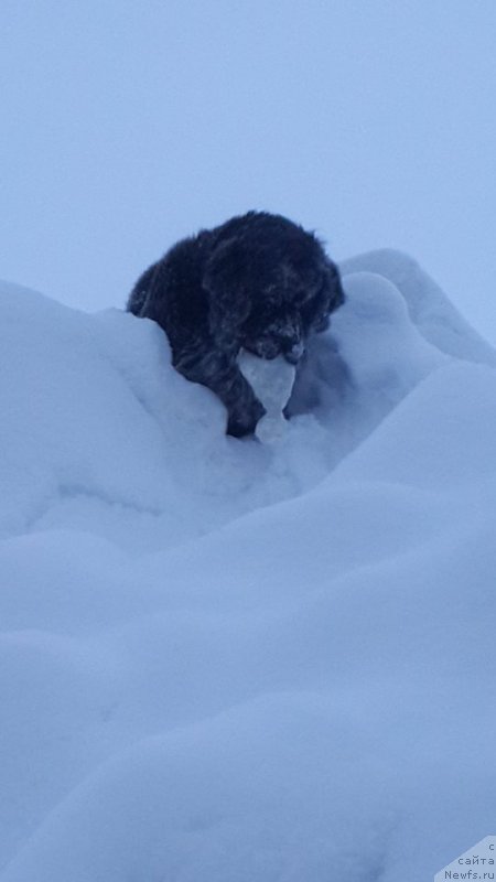 Фотография № 170165