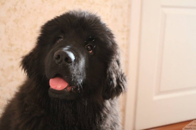 Фотография № 170215