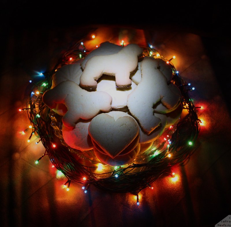 Фотография № 170286