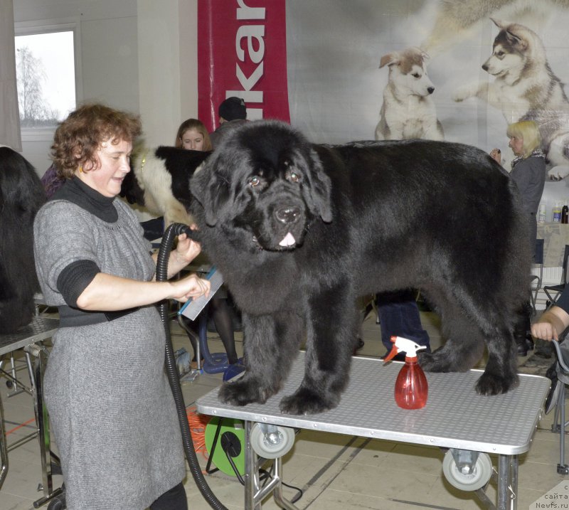 Фотография № 170288