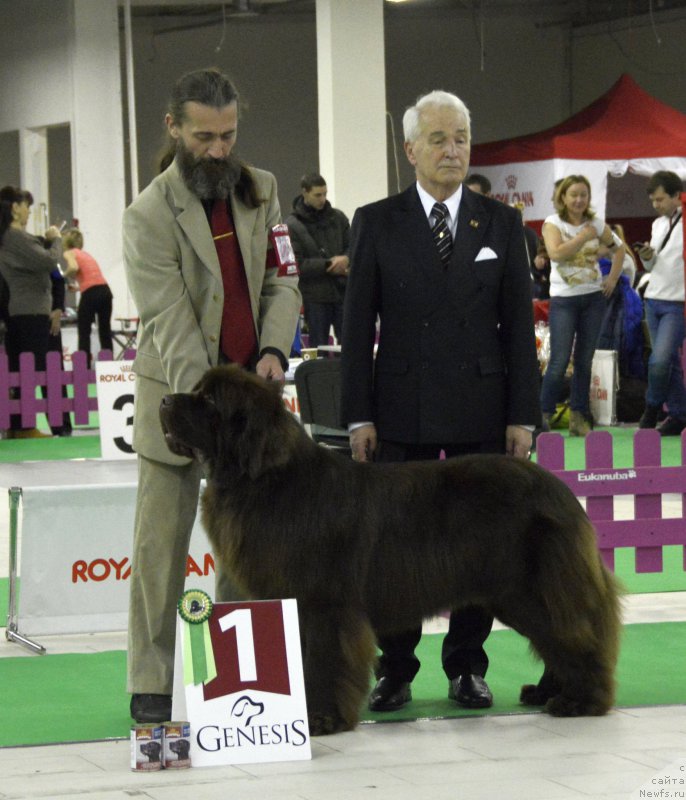 Фотография № 170291