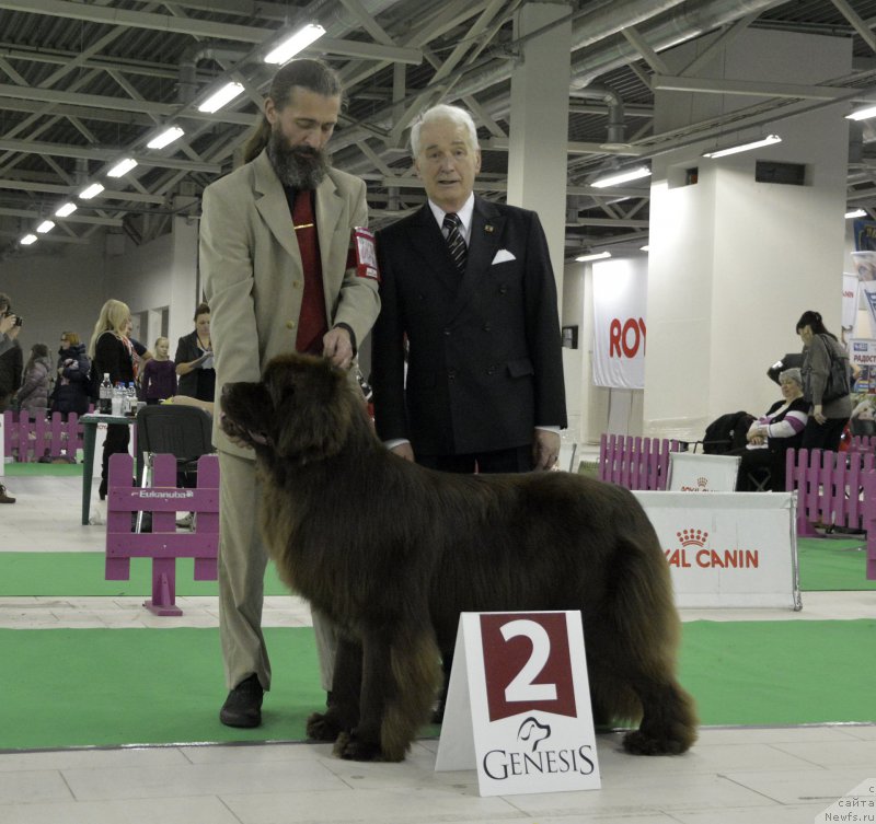 Фотография № 170292