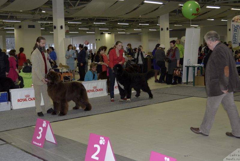 Фотография № 170293