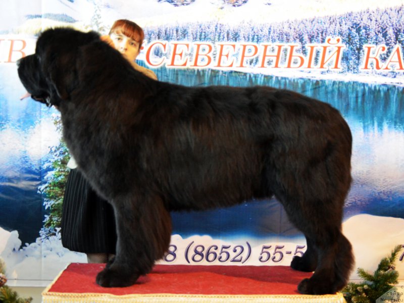 Фотография № 170308