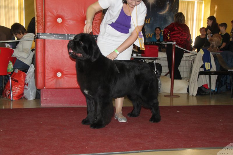 Фотография № 170310