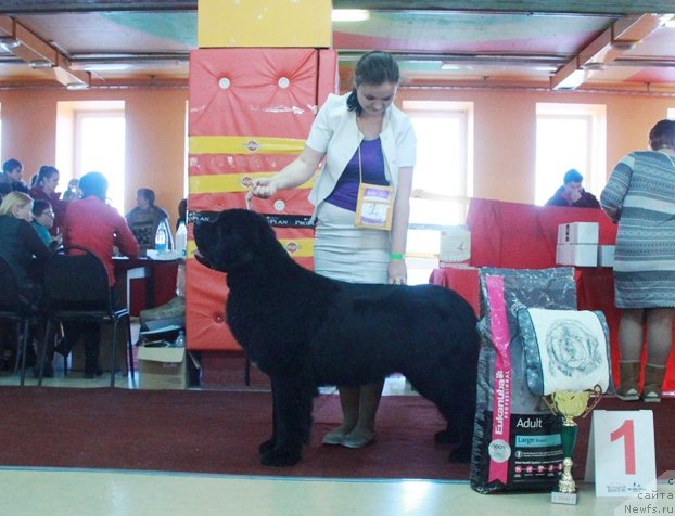 Фотография № 170314