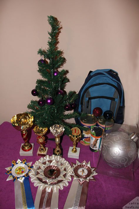 Фотография № 170336