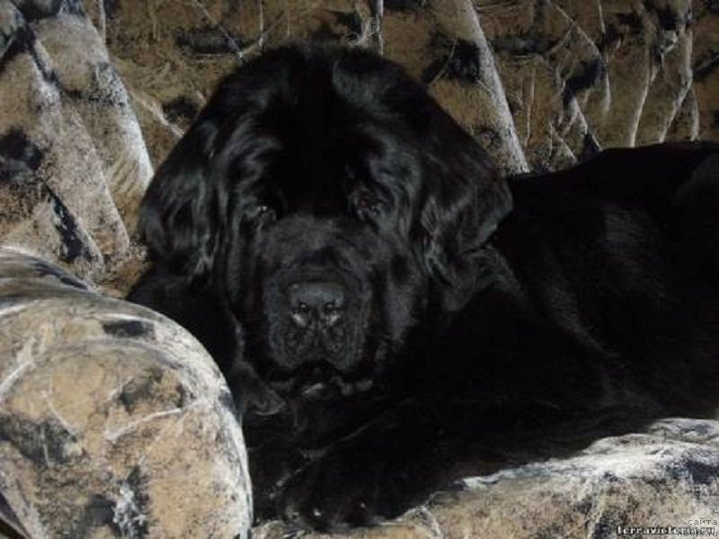 Фотография № 170339