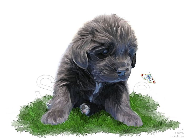 Фотография № 170341