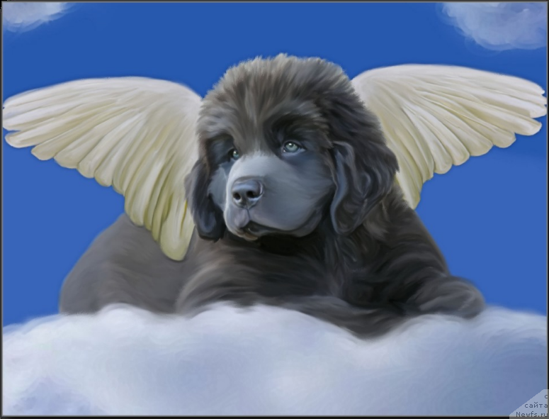 Фотография № 170342