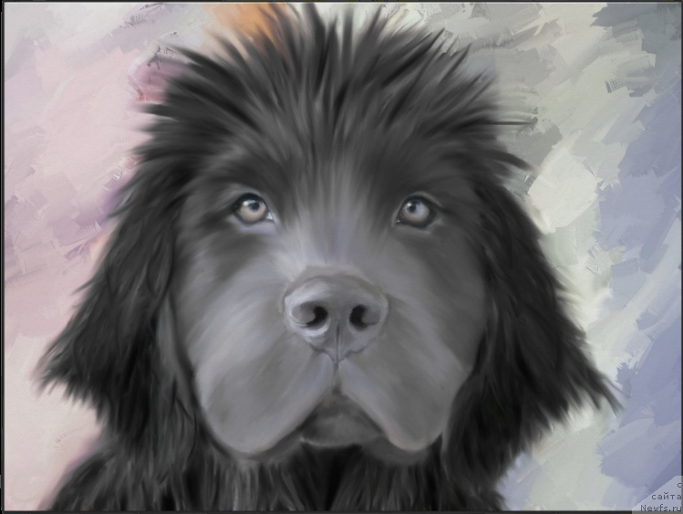 Фотография № 170345