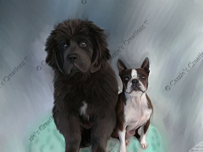 Фотография № 170349