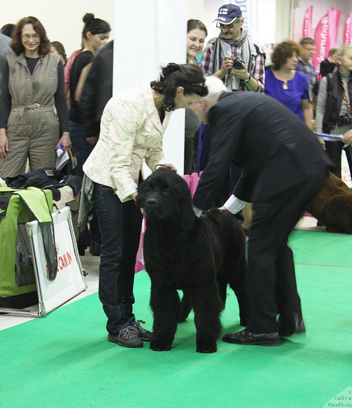 Фото: Бегущая по волнам Чесс Квин ин Блэк