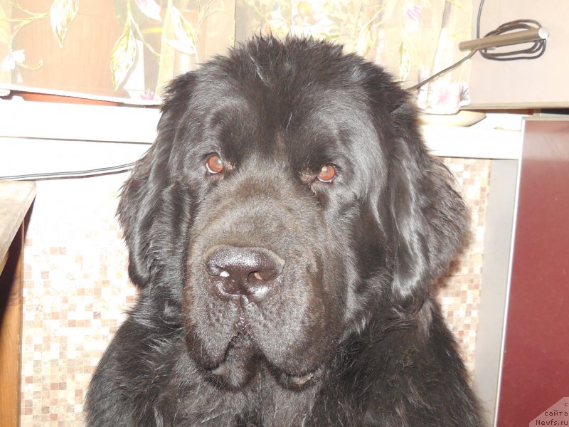 Фотография № 170388