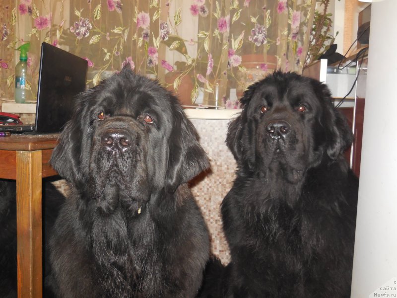 Фотография № 170391