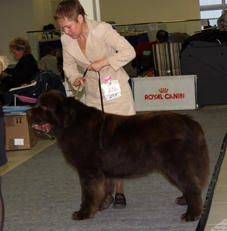 Фотография № 170416