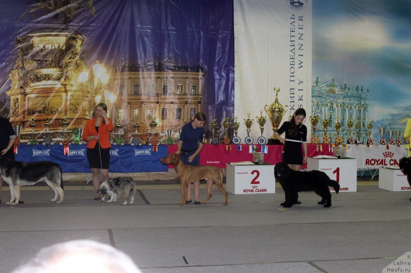 Фотография № 170417