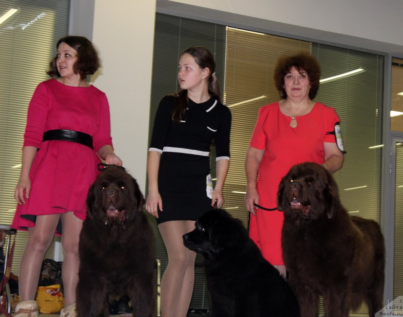 Фотография № 170418